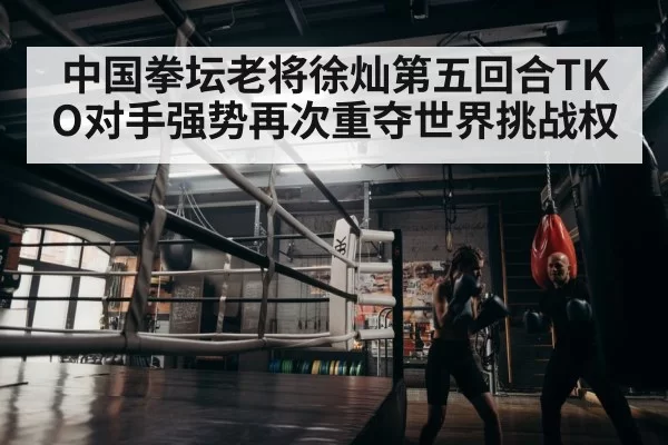 boxer training